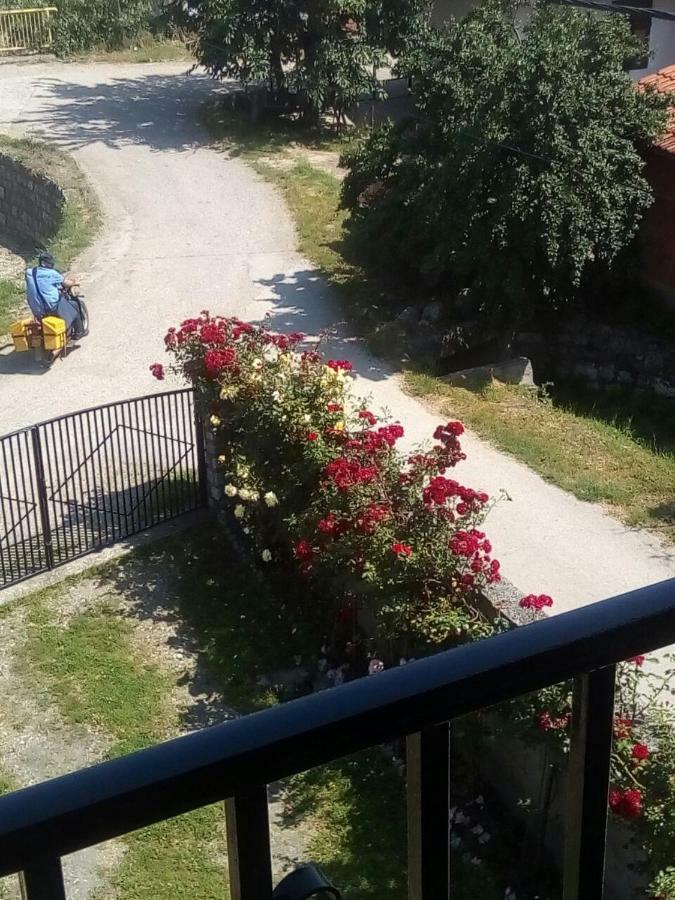 Sobe Seka Hotel Galambóc Kültér fotó